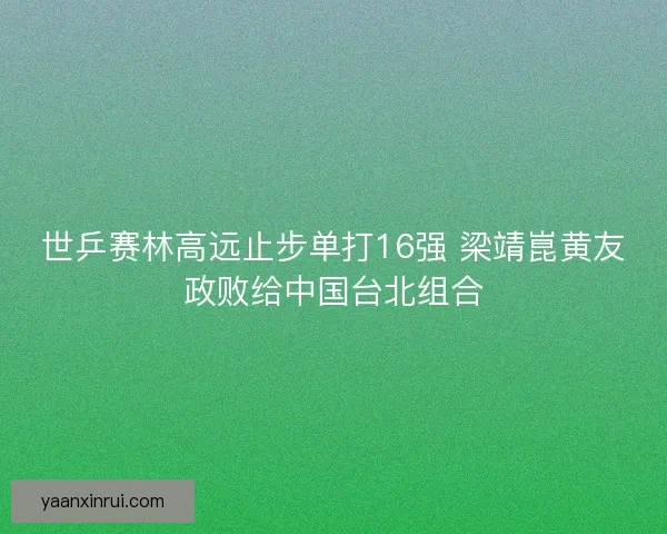 世乒赛林高远止步单打16强 梁靖崑黄友政败给中国台北组合